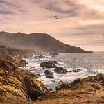 Steve m trip advisor review